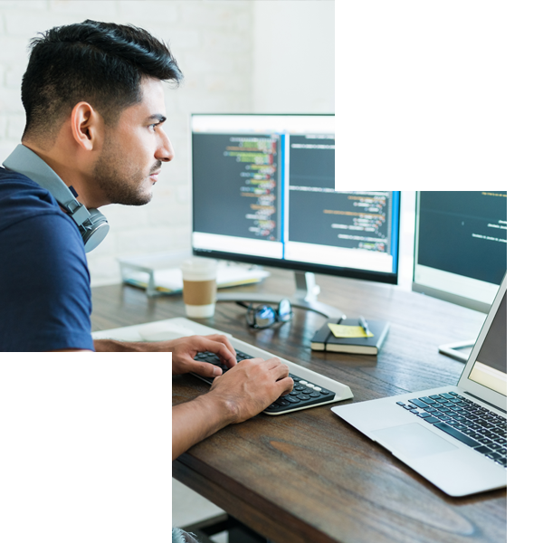 Website Development Service